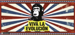 Slavná evoluční teorie dostala smrtelnou ránu: Zhroutily se letos tři hlavní pilíře, které měly podporovat spojení mezi člověkem a šimpanzem?