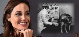 Dobrá zpráva nejen pro Angelinu Jolie: První transplantace hlavy na spadnutí. Feministky, gayové i pedofilové jásají. Ovečka Dolly byla piplačka v kádince. Na scénu přicházejí řezníci. Sláva pokroku!