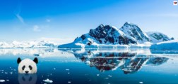 Čínský Sněžný orel a jeho velké hnízdo v Antarktidě: Bude Čína z polárního Olympu kontrolovat vzdušný prostor? Vědecko-výzkumné plány, nebo geopolitická a vojenská strategie? Náskok se pomalu zvyšuje
