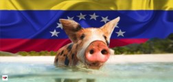 Tajné napadení Venezuely: Zpackaný výsadek amerických záškodníků. Dva a půl tisíce na jednoho. Hoch na politické zavolání. Kdo financuje útoky na Madura? Připomínka kubánského fiaska. Země v izolaci