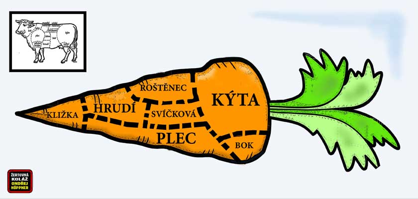 Deset bylinek, které by neměly doma chybět: Zázrak pro děti, starce a nemocné. Jak vyvážit kvanta chemie, která denně všichni „vstřebáváme“? Jednoduše!