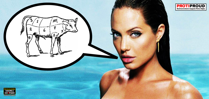 Úspěšný lékař radí: Naučte se vařit! Je energetická medicína lékařství budoucnosti? Slavná Čínská studie. Cukr a rakovina. V čem se mýlí Angelina Jolie. Chvála střídmosti